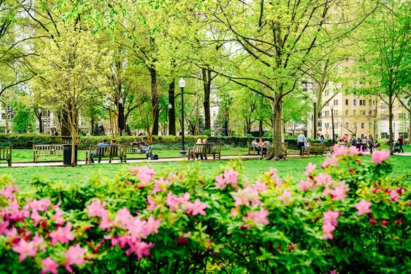 In the Neighbourhood: Rittenhouse Square